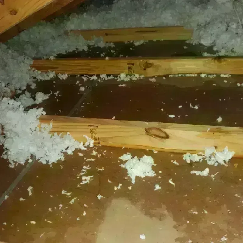 Attic Water Damage in Rowlett, TX