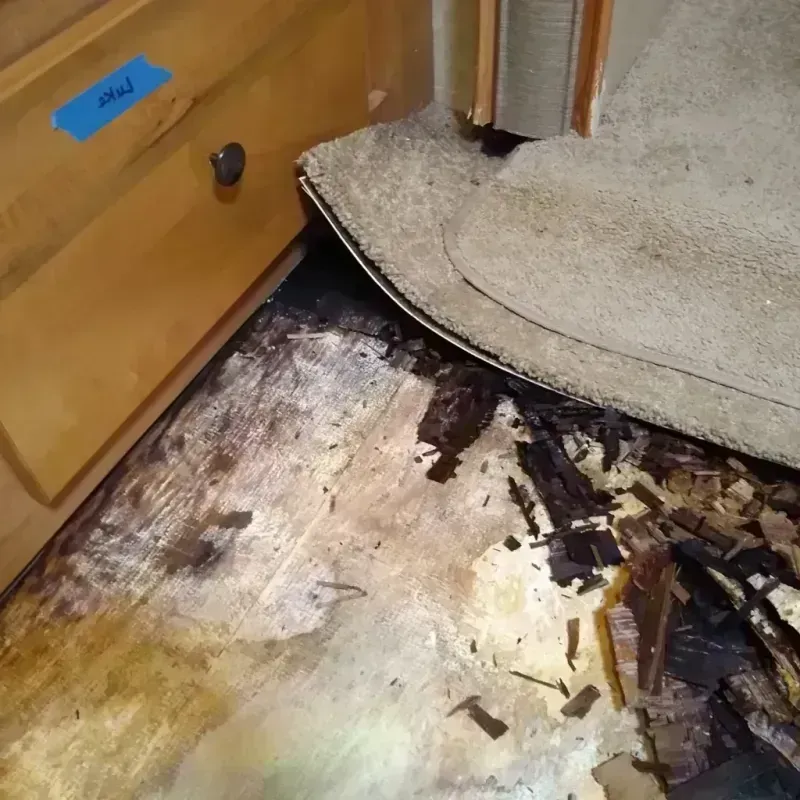 Wood Floor Water Damage in Rowlett, TX